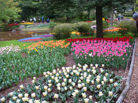 DSC05446.JPG