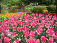 DSC05447.JPG