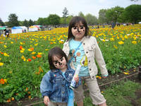 DSC05452.JPG