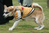 DSC05464.JPG