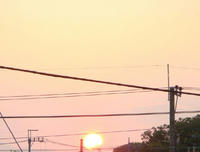 DSC05486.JPG