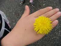 DSC05524.JPG