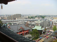 DSC05602.JPG