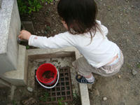 DSC05664.JPG