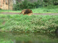 DSC05694.JPG