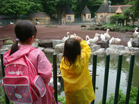 DSC05695.JPG