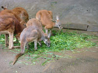DSC05704.JPG