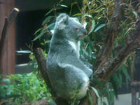 DSC05715.JPG