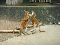 DSC05722.JPG