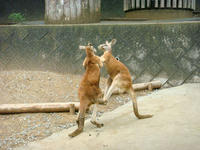 DSC05723.JPG