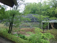DSC05736.JPG