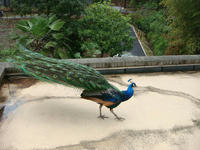 DSC05740.JPG