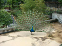 DSC05746.JPG