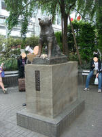 DSC05764.JPG