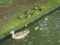 DSC05820.JPG