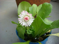 DSC05907.JPG