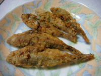 DSC05912.JPG