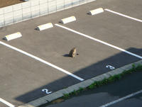 DSC05971.JPG