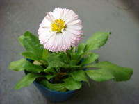 DSC05991.JPG