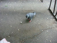 DSC06013.JPG