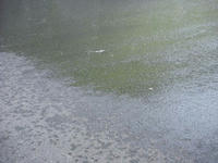 DSC06036.JPG