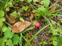 DSC06124.JPG