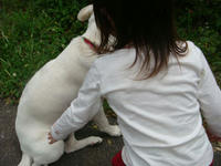 DSC06126.JPG