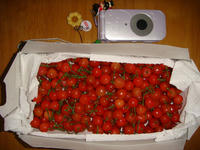 DSC06148.JPG