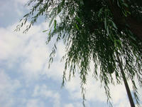 DSC06200.JPG