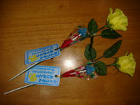DSC06291.JPG
