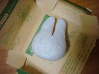 DSC06362.JPG