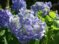 DSC06367.JPG