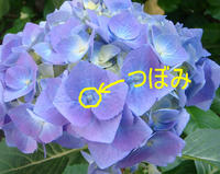 514a12e3.jpeg