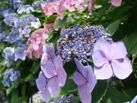 DSC06501.JPG