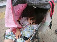 DSC06586.JPG