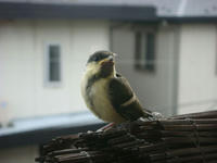 DSC06604.JPG