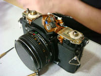 DSC06609.JPG
