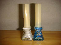 DSC06611.JPG