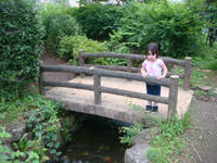 DSC06678.JPG