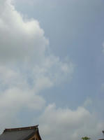 DSC06688.JPG
