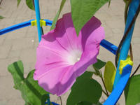 DSC06714.JPG