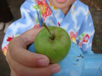 DSC06726.JPG