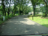 DSC06796.JPG