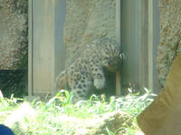 DSC06803.JPG