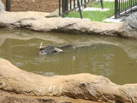 DSC06811.JPG