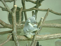 DSC06817.JPG