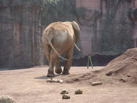 DSC06837.JPG