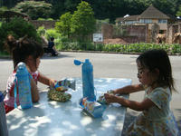 DSC06843.JPG