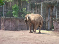 DSC06845.JPG
