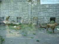 DSC06849.JPG